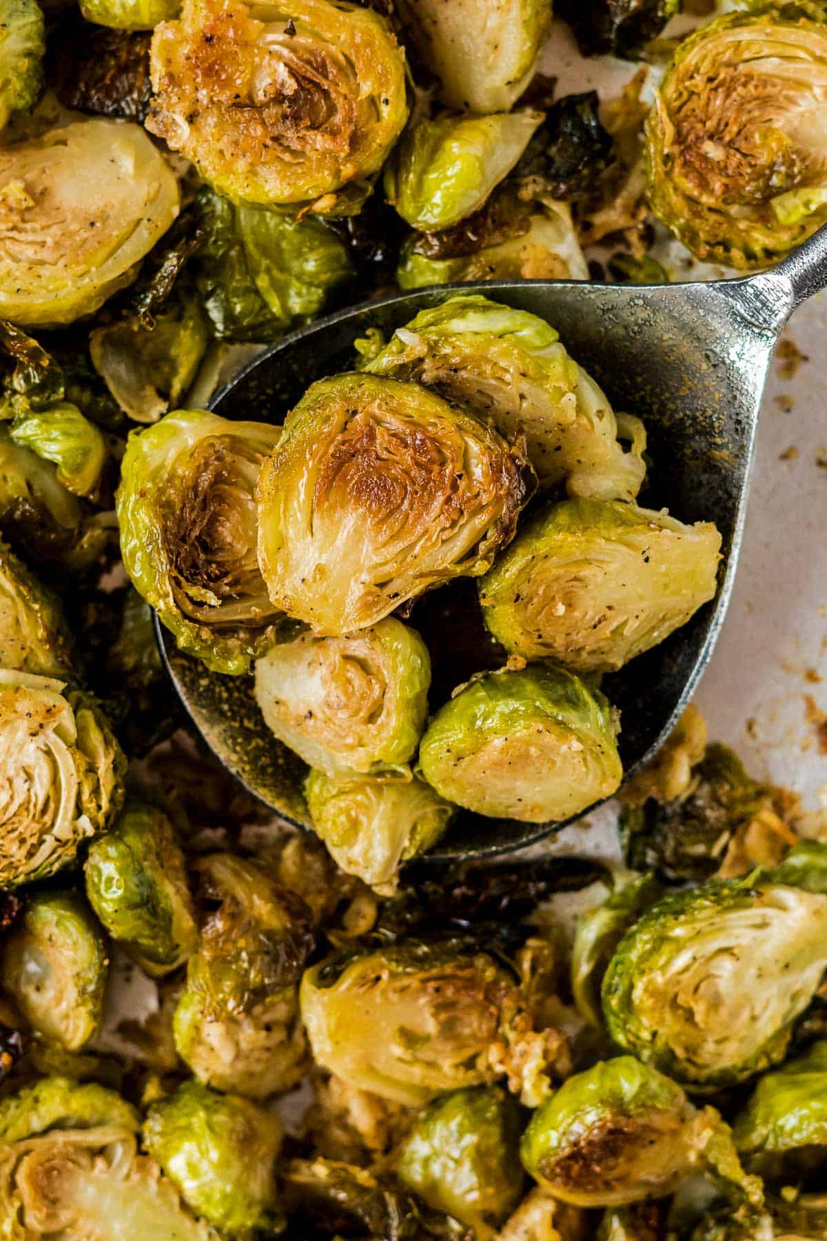 parmesan roasted brussels sprouts