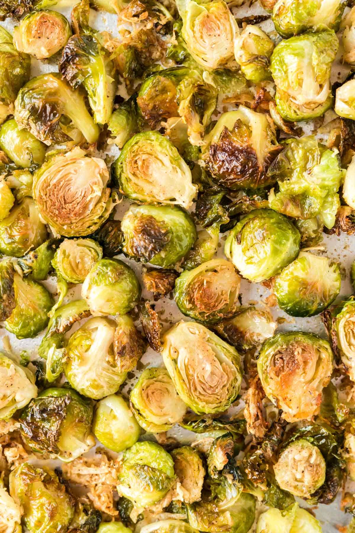 roasted brussels sprouts on a baking sheet