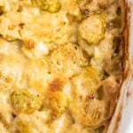 baked cheesy brussel sprouts