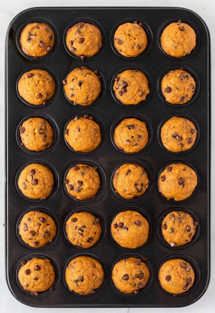 pumpkin mini muffins in a muffin tin