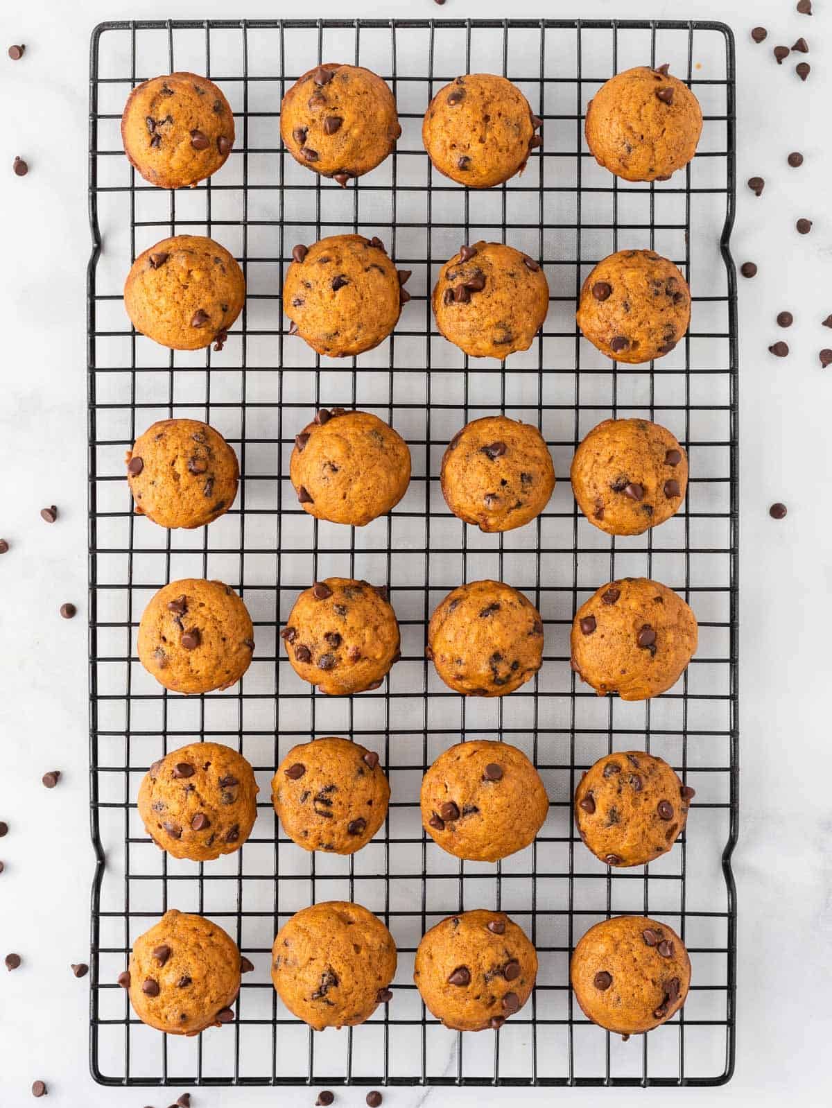 mini pumpkin chocolate chip muffins on a wire cooling rack