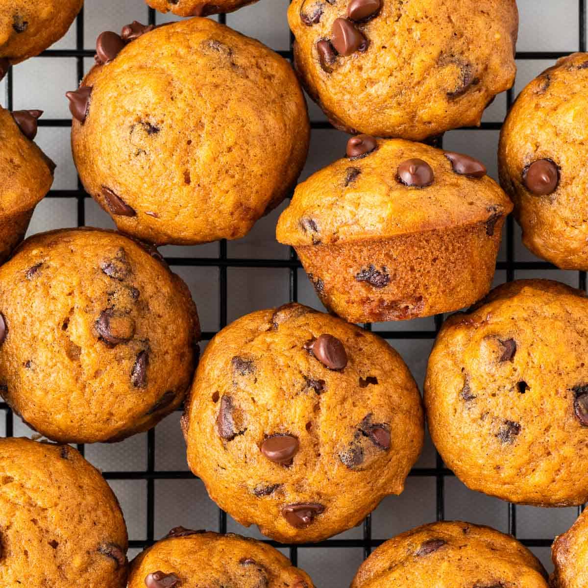 mini pumpkin chocolate chip muffins on a wire cooling rack