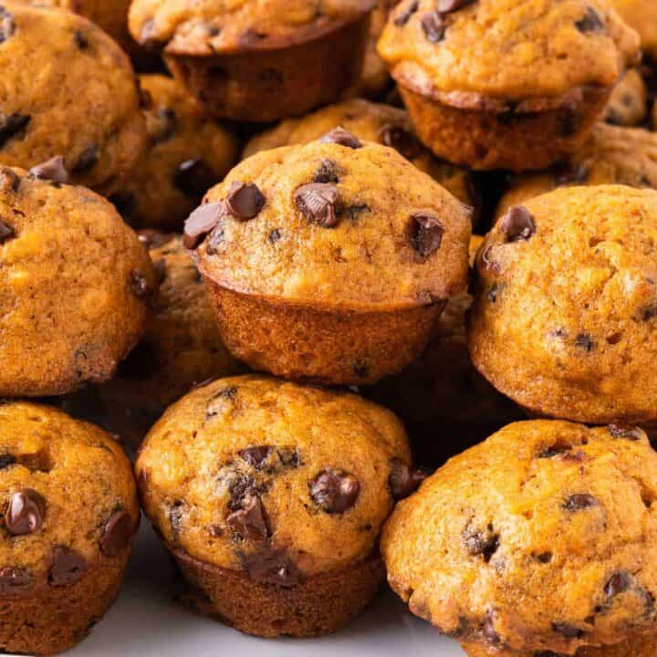 mini pumpkin muffins with chocolate chips