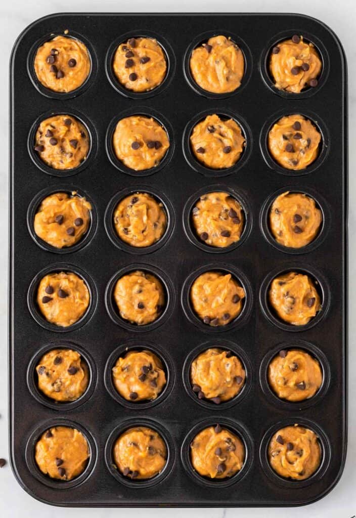 mini muffin tin filled with pumpkin chocolate chip batter