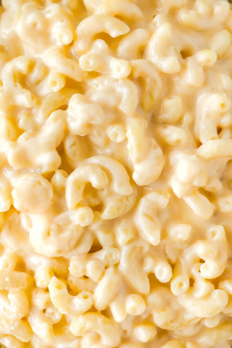 Creamy Greek Yogurt Mac and Cheese Recipe Build Your Bite