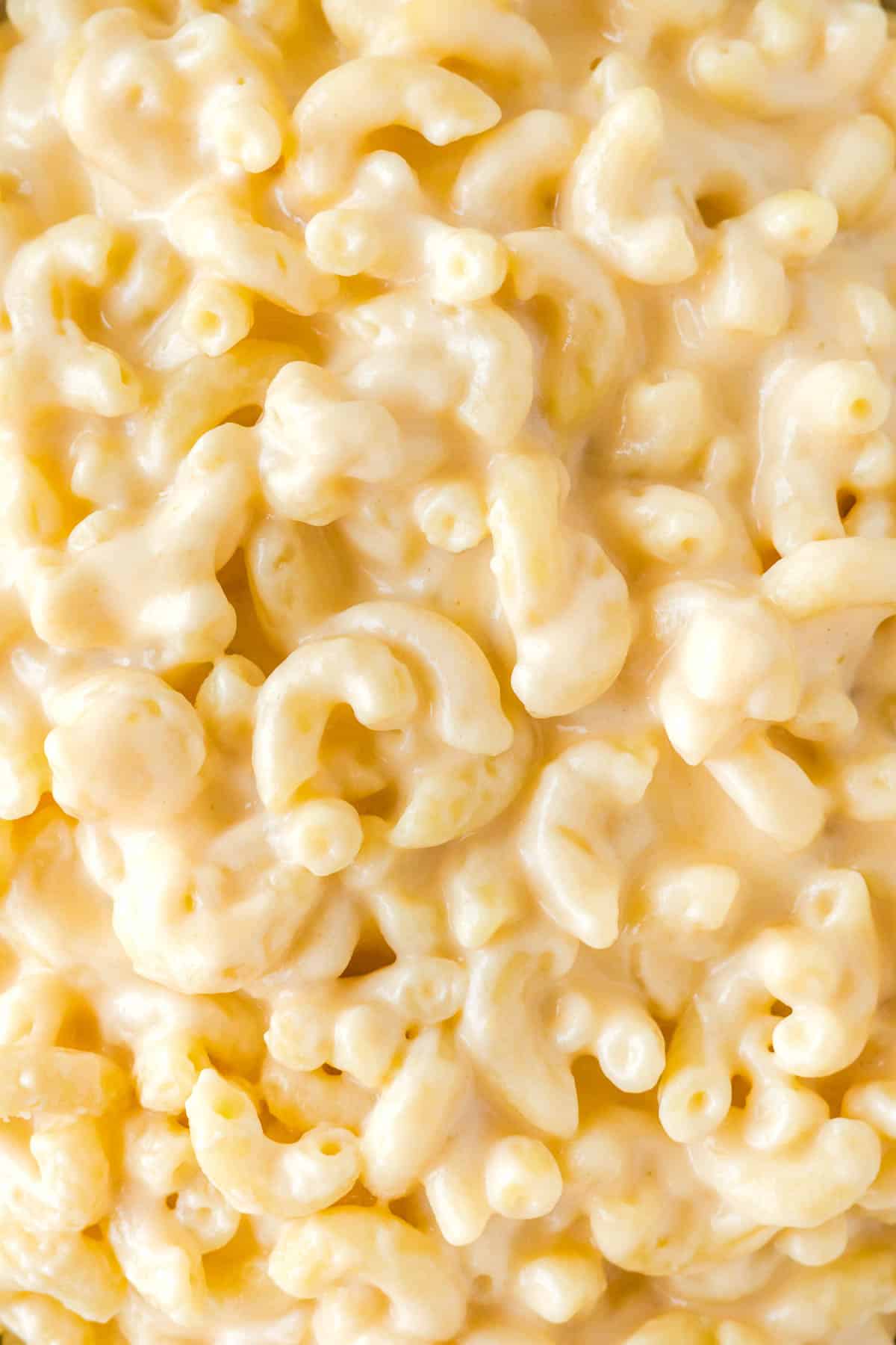 creamy greek yogurt mac and cheese