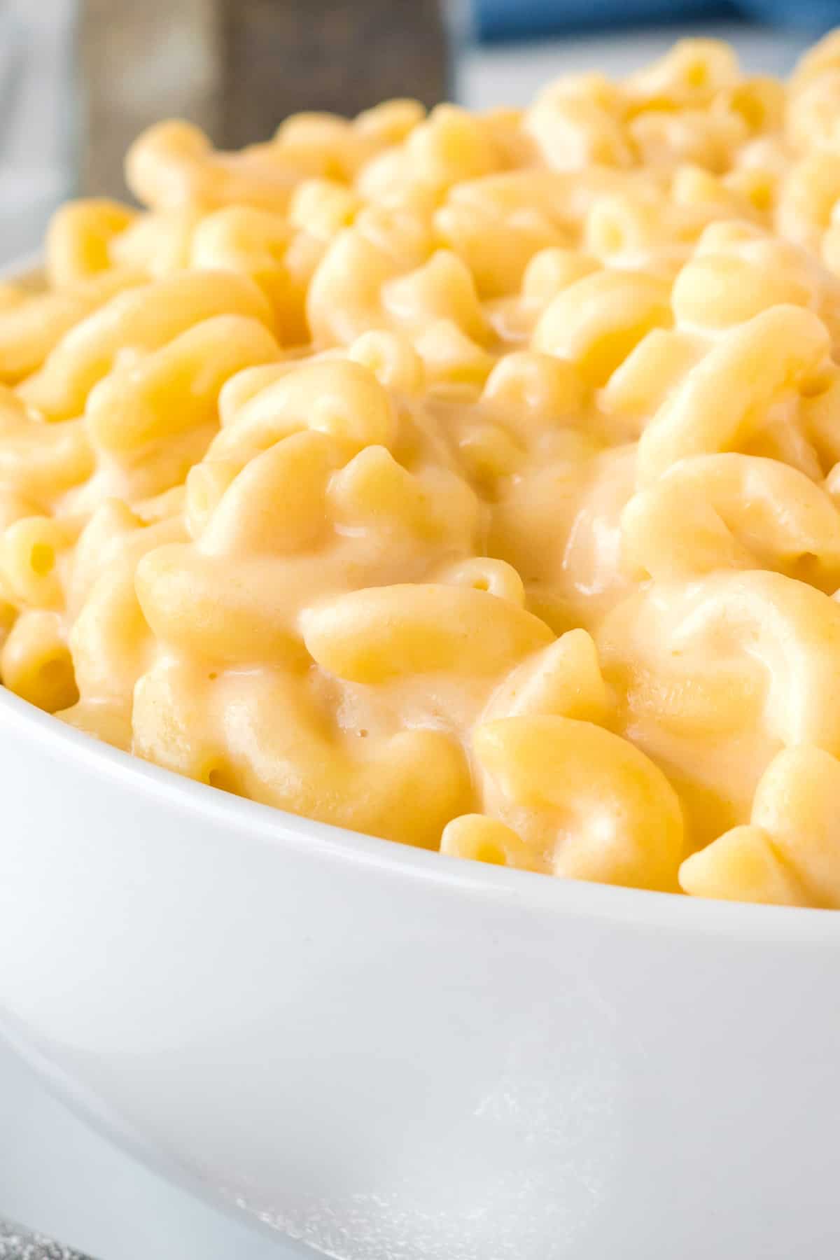 creamy greek yogurt mac and cheese