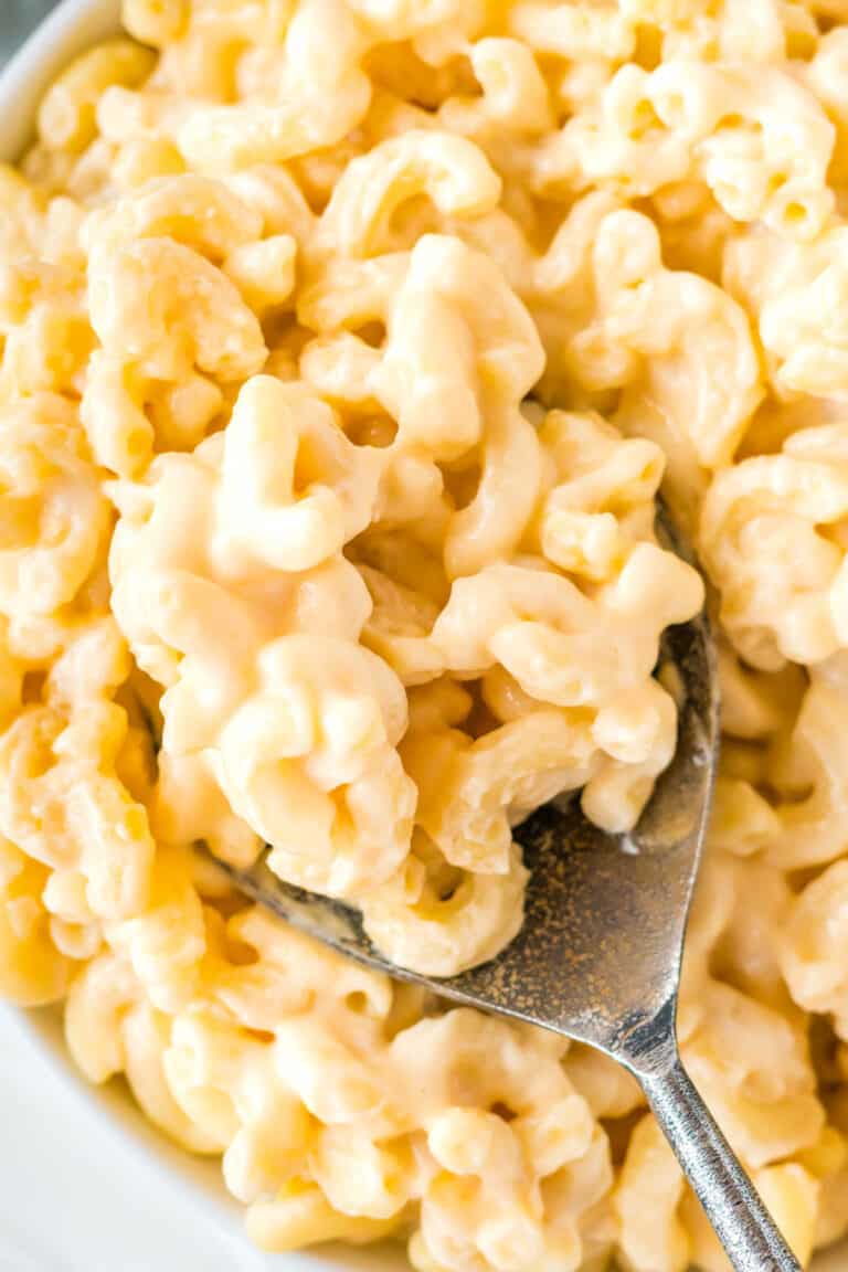 Creamy Greek Yogurt Mac and Cheese Recipe Build Your Bite