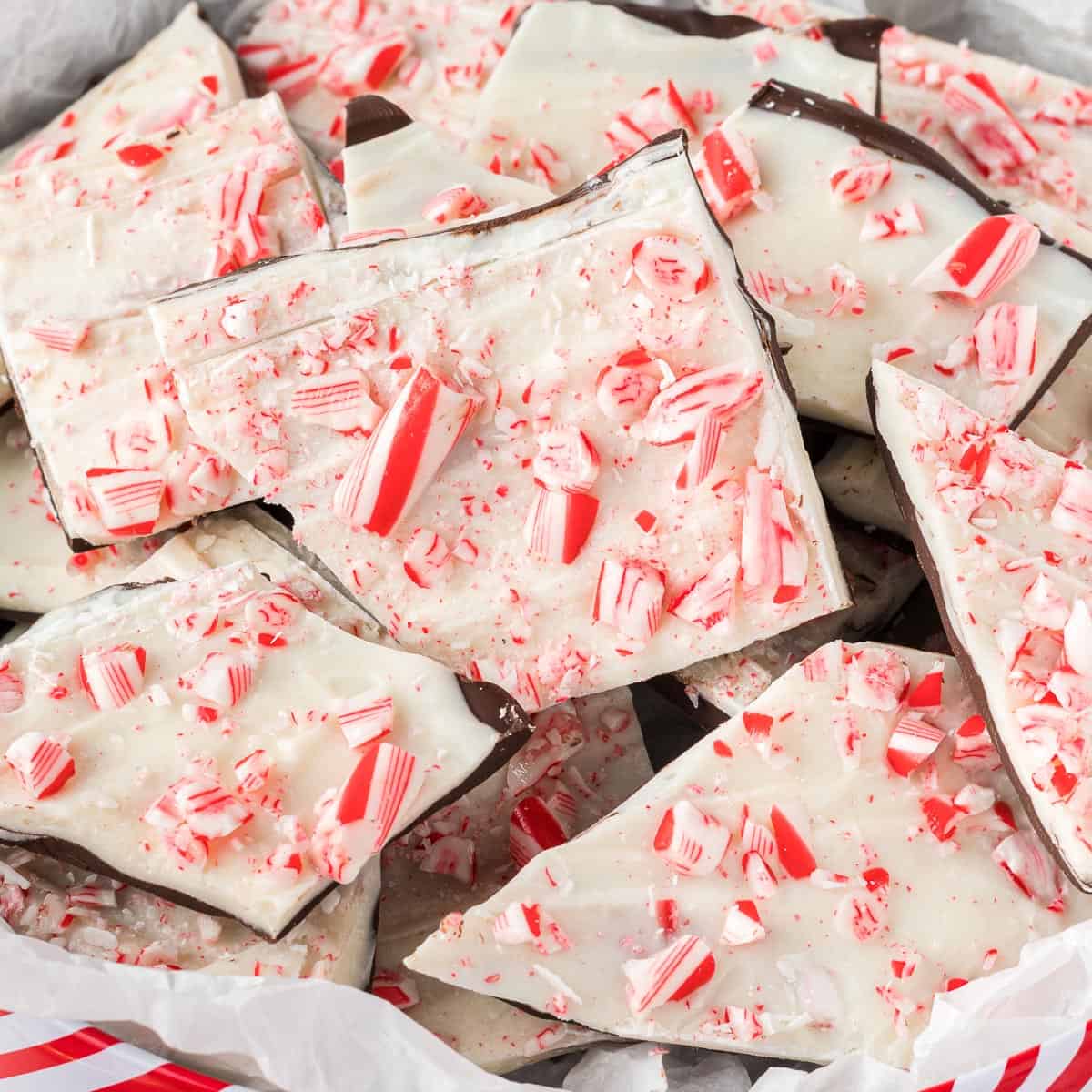 chocolate peppermint bark in a candy tin