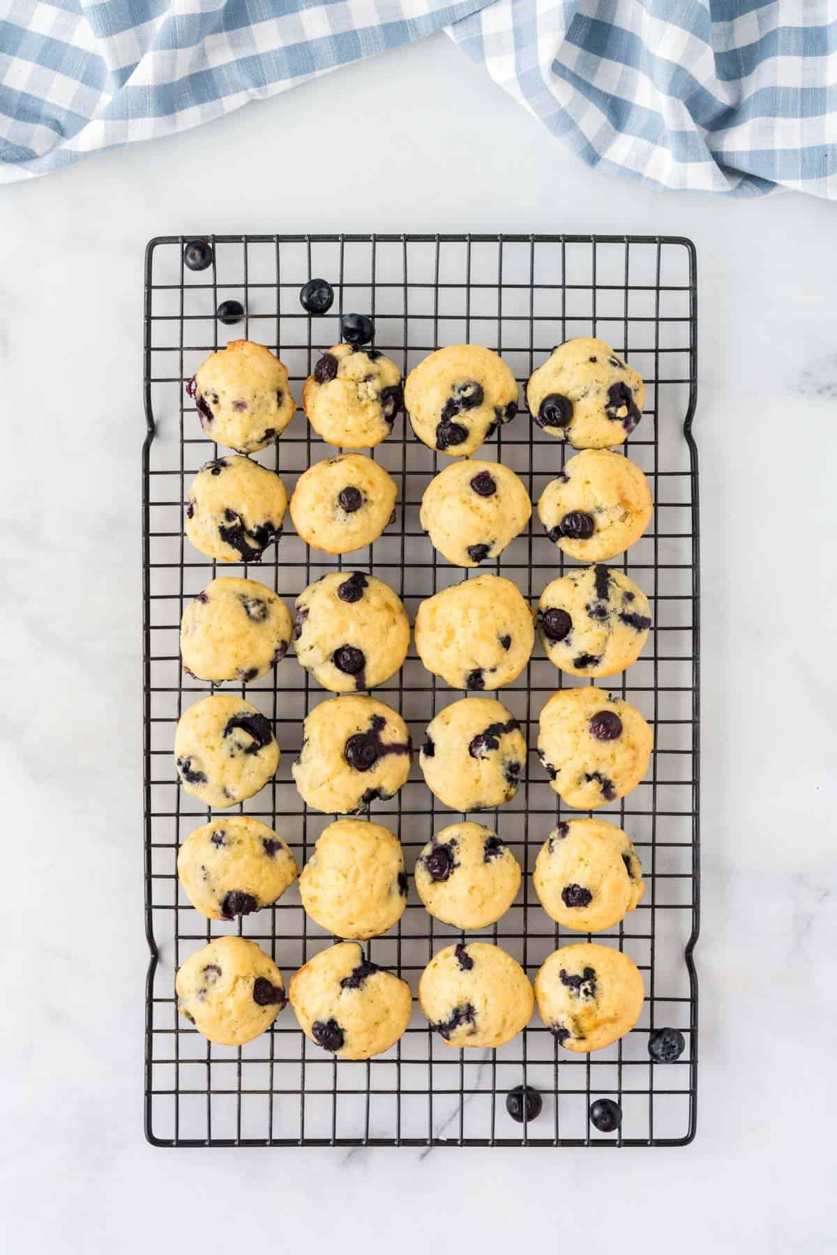 blueberry mini muffins on a wire cooling rack
