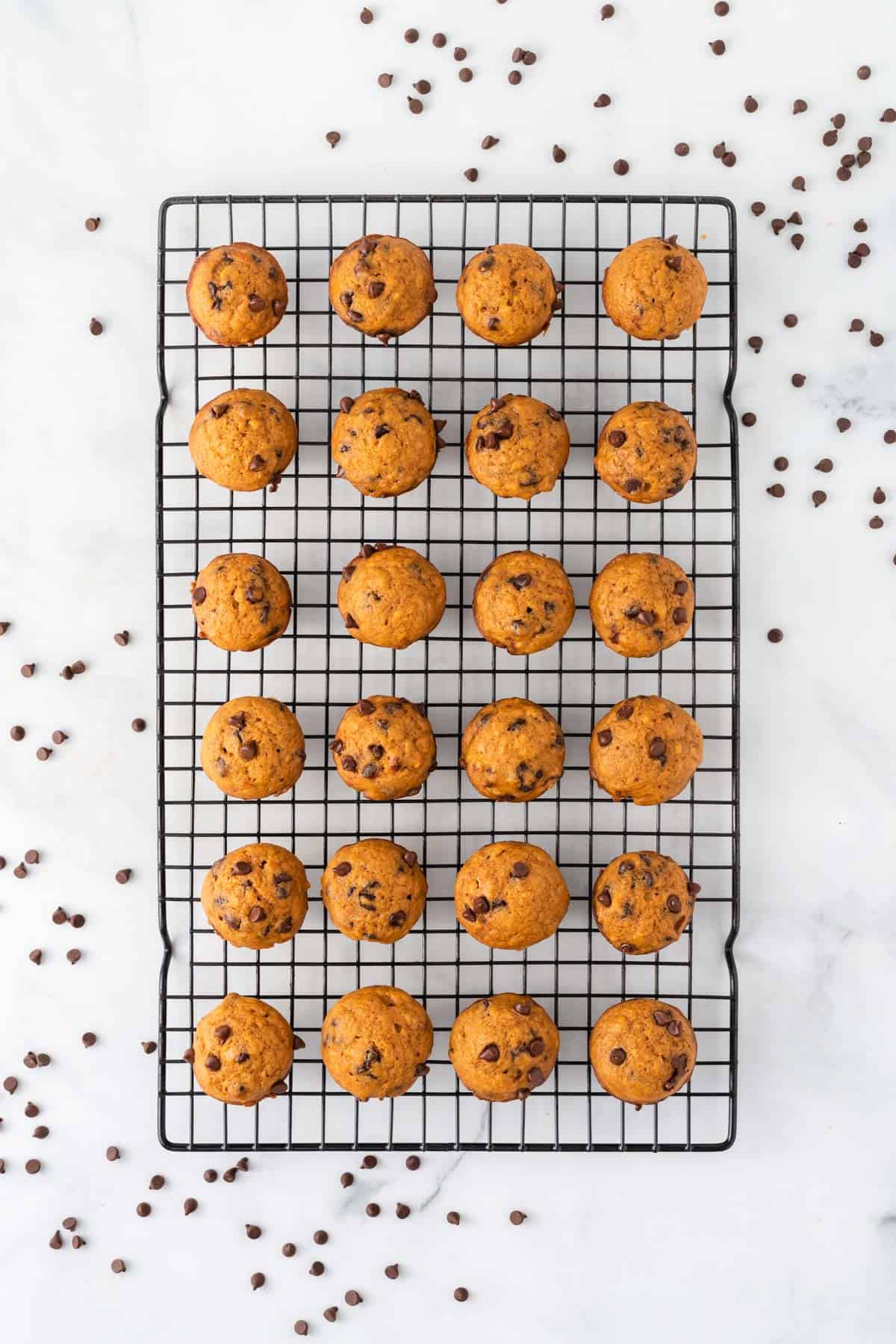 pumpkin muffins on a wire cooling rack