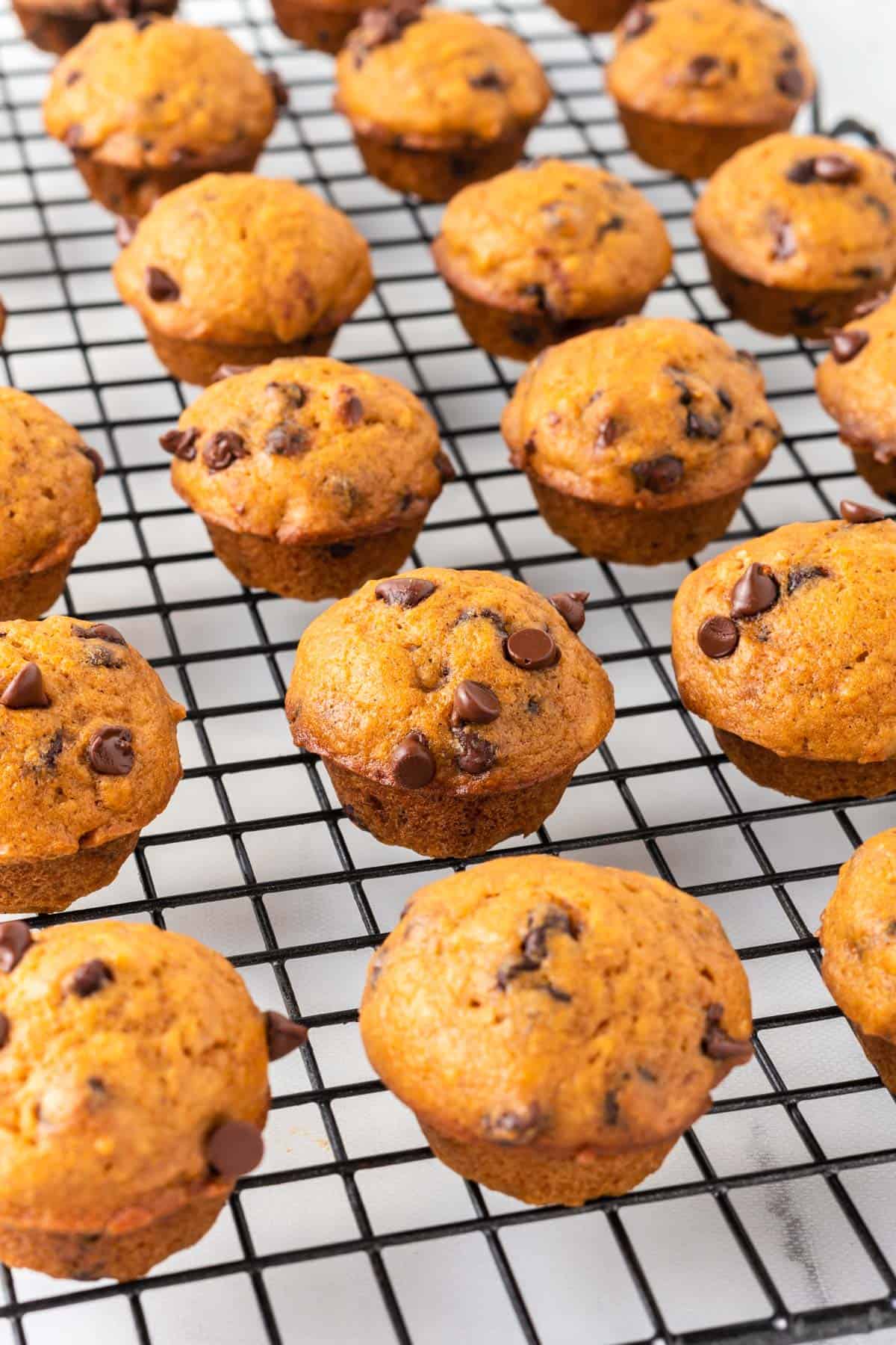 pumpkin muffins on a wire cooling rack