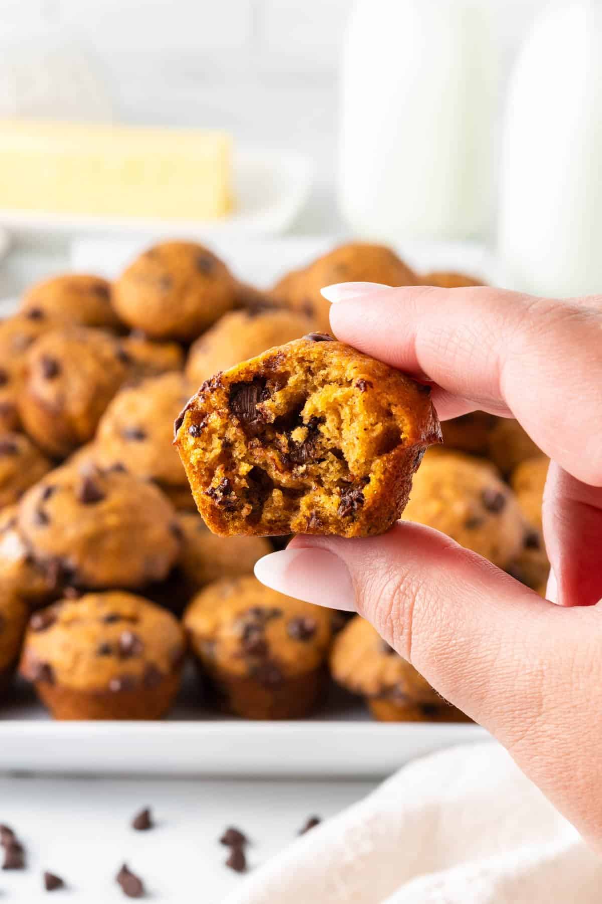 mini pumpkin chocolate chip muffin with a bite taken out