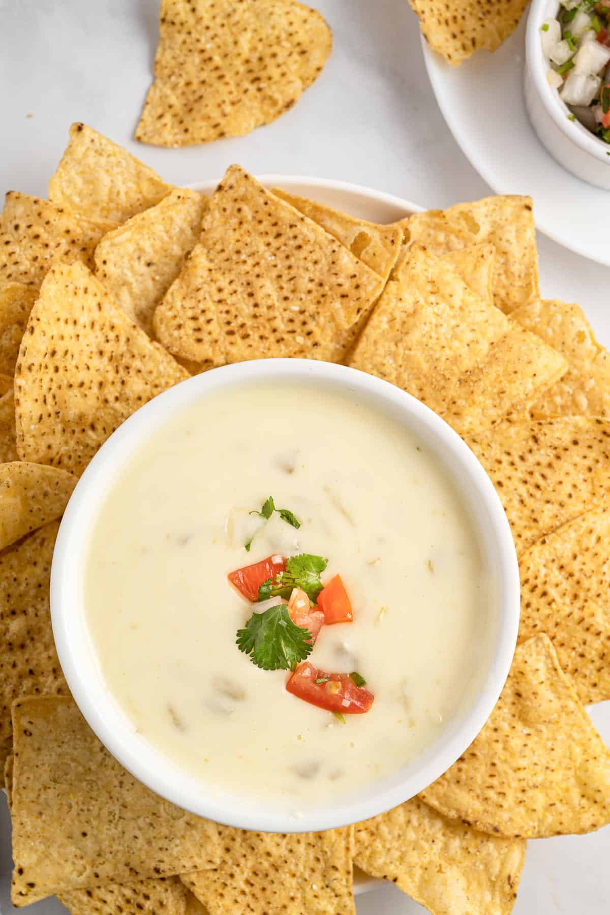 queso dip in a bowl surrounded by chips
