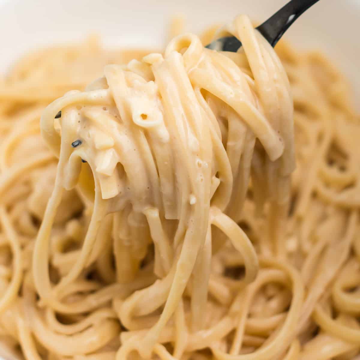 instant pot creamy pasta twirled on a fork