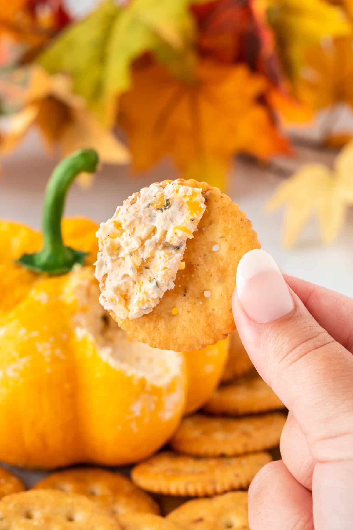 cheese ball dip on a cracker