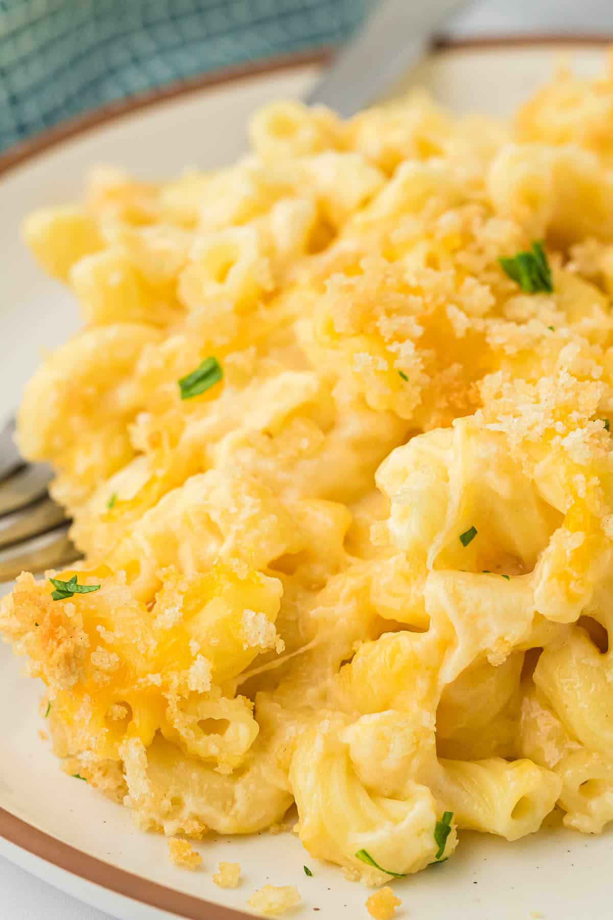 baked macaroni and cheese