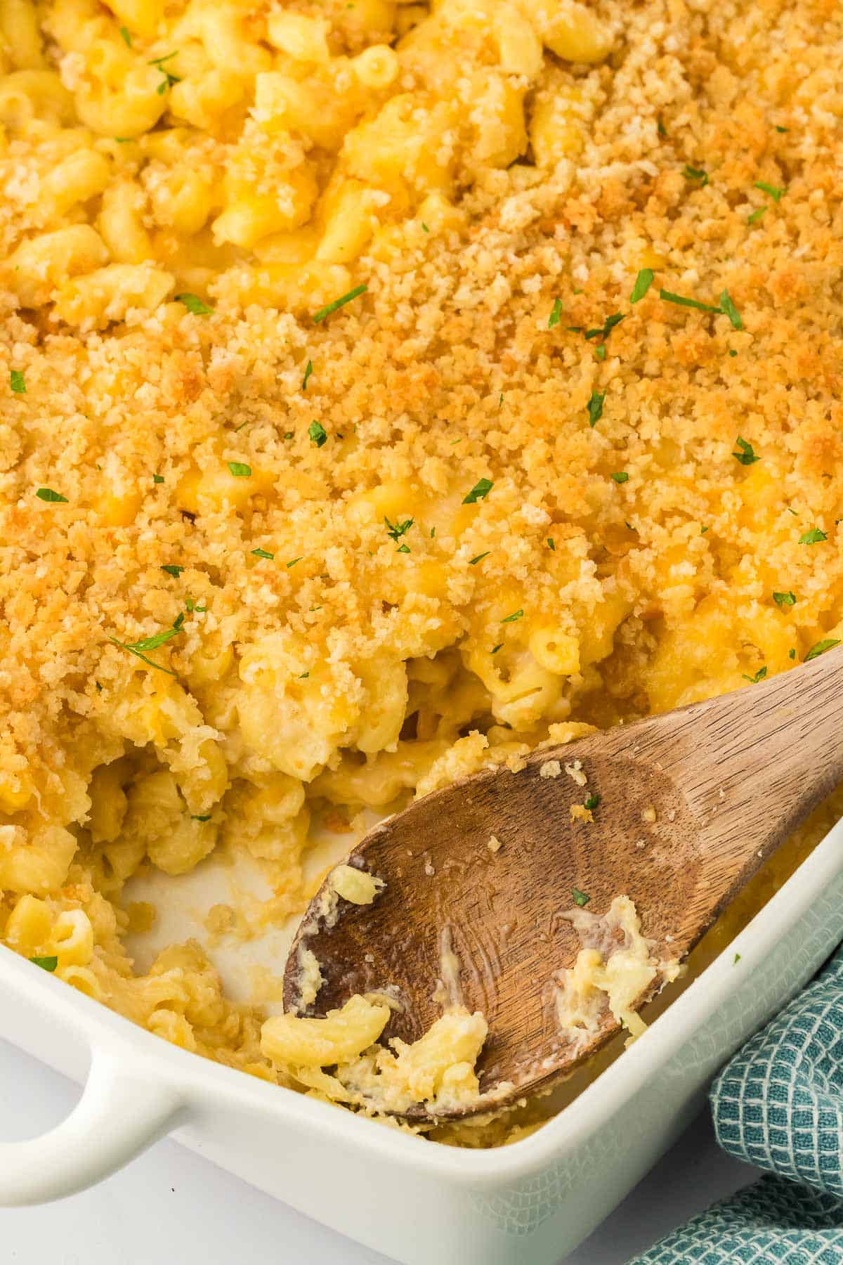 baked macaroni and cheese