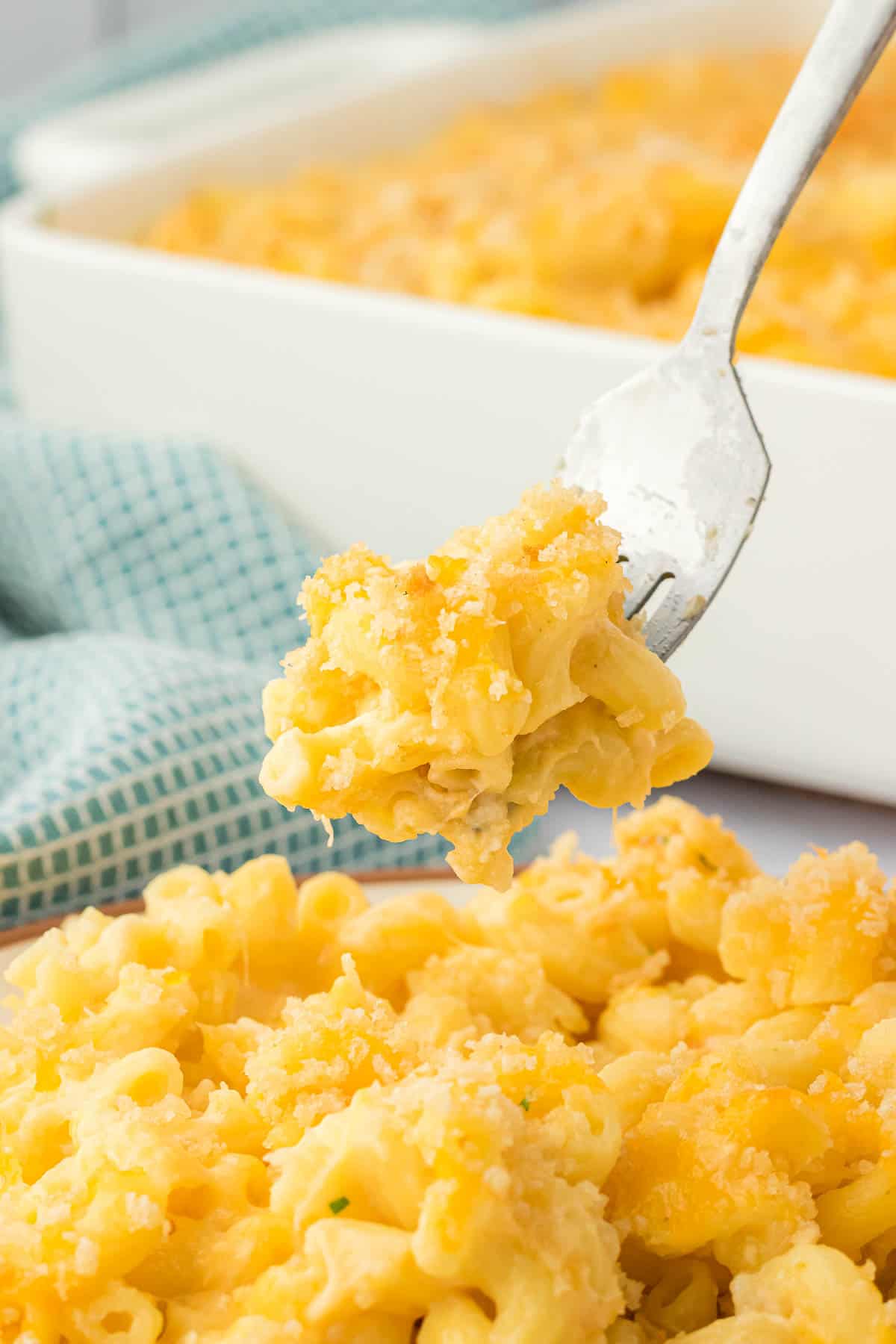 forkful of mac and cheese