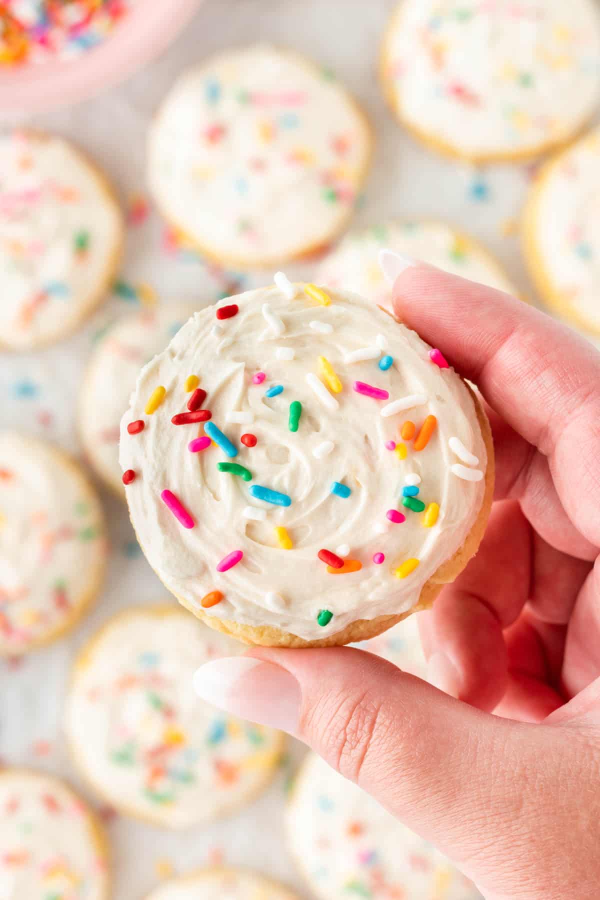 holding a frosted sugar cookie