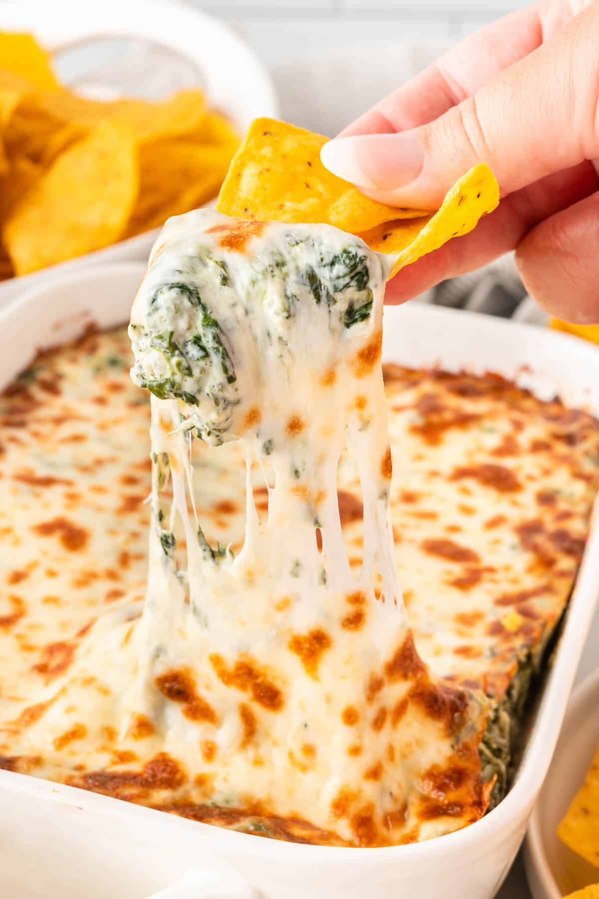 dipping a chip into spinach dip
