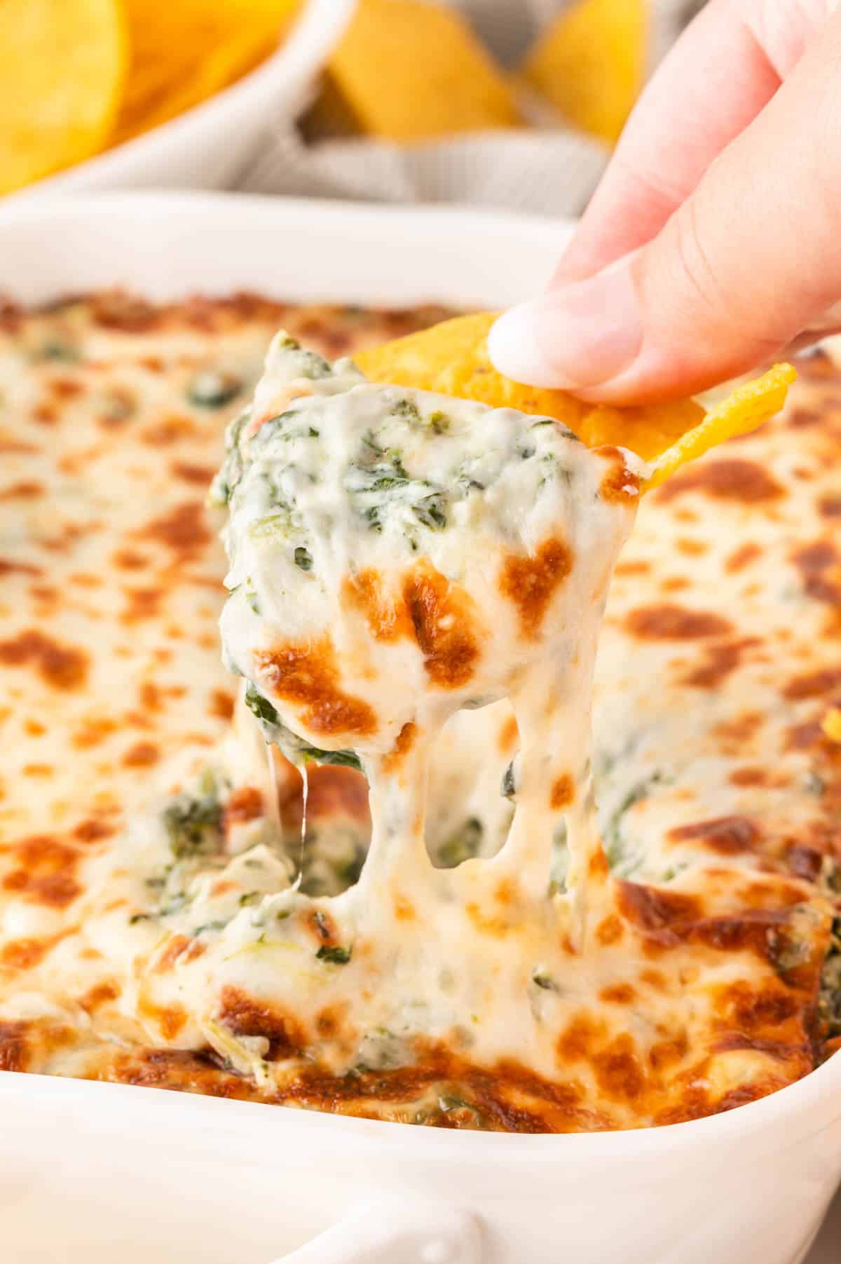 dipping a chip into spinach dip