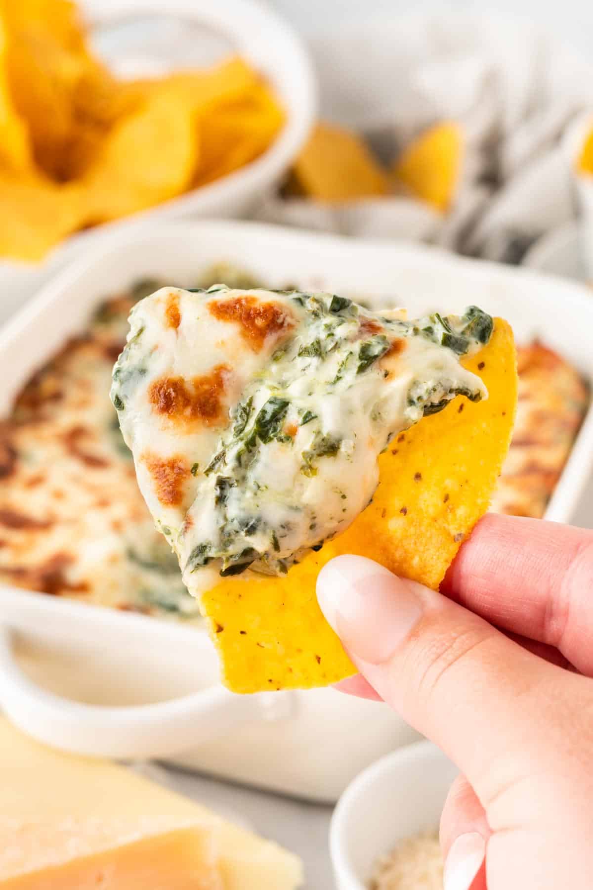 dipping a chip into spinach dip