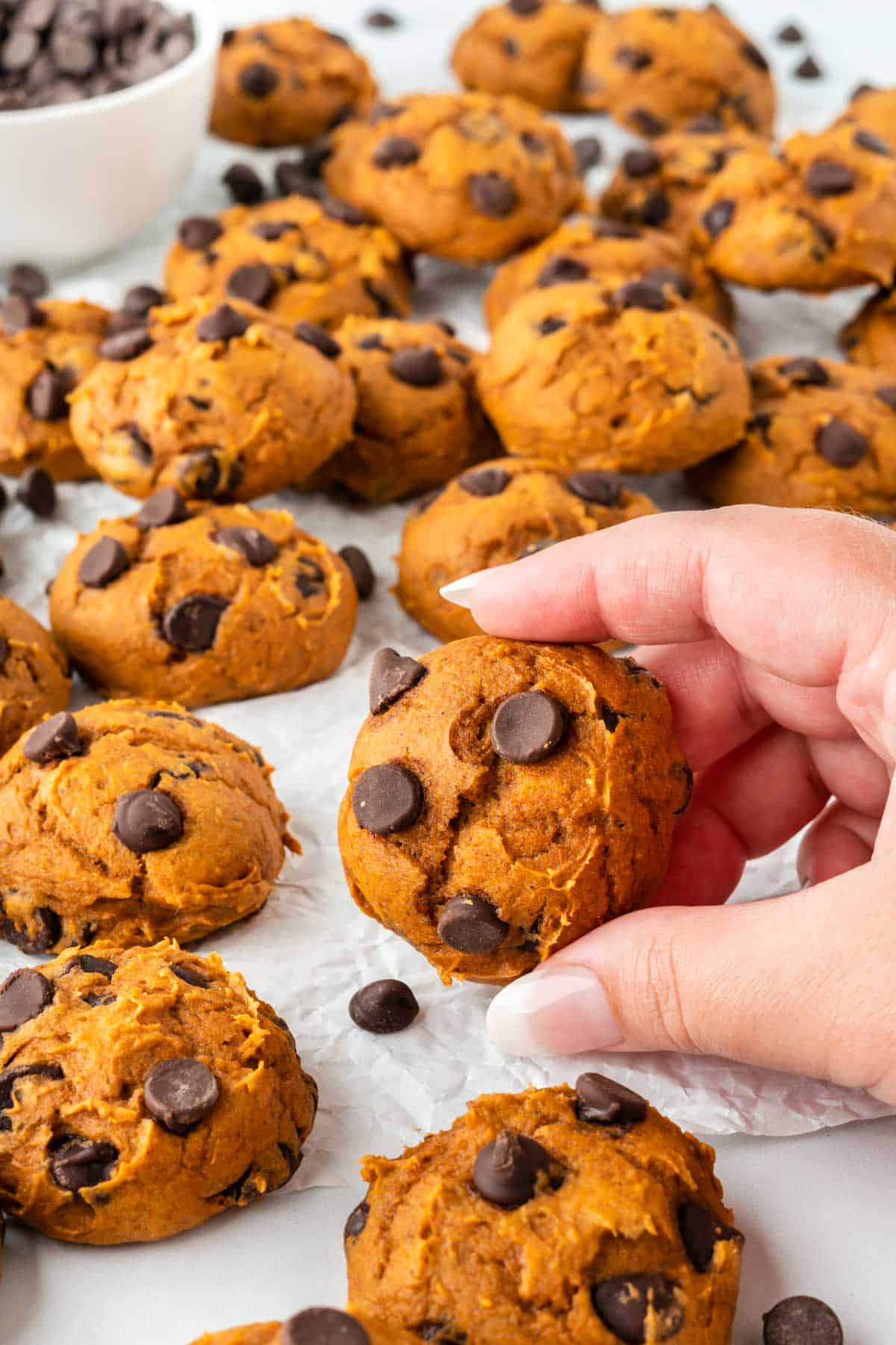 holding a pumpkin cake mix cookie