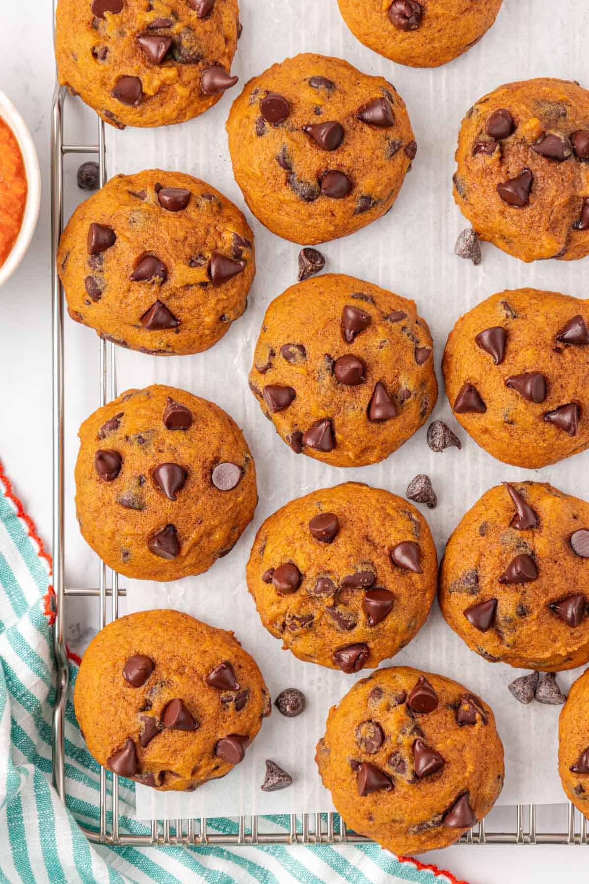 pumpkin chocolate chip cookies
