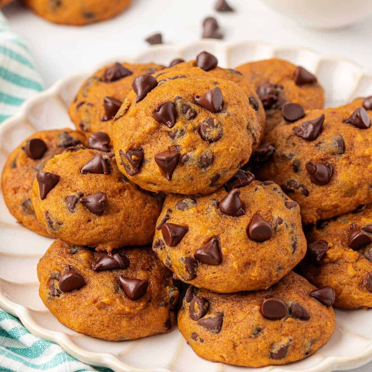 Warm Pumpkin Choco Chip Bliss 20 pumpkin chocolate chip cookies