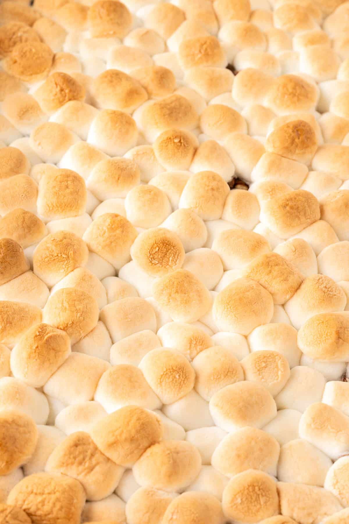 sweet potato casserole with marshmallows
