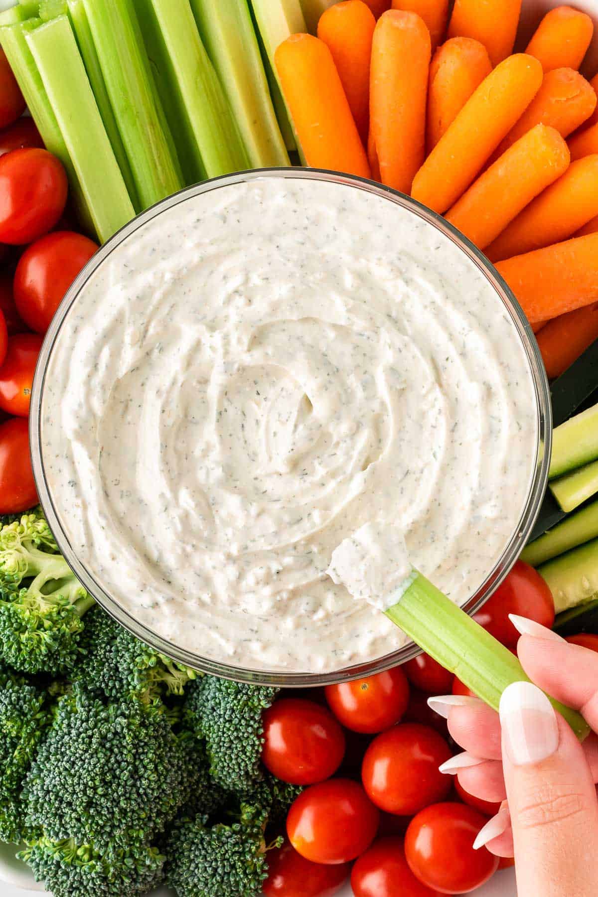 dipping celery into veggie dip