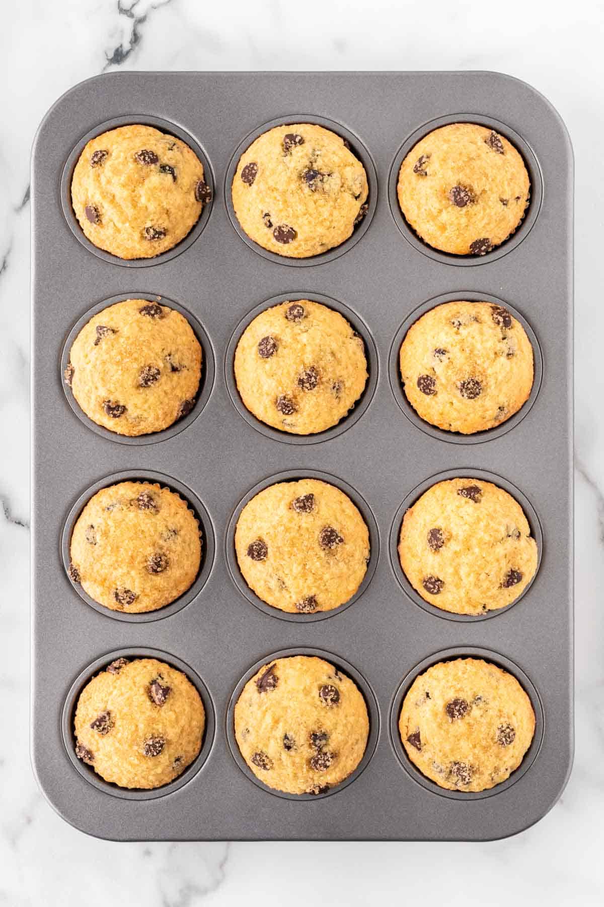 chocolate chip muffins in a muffin tin