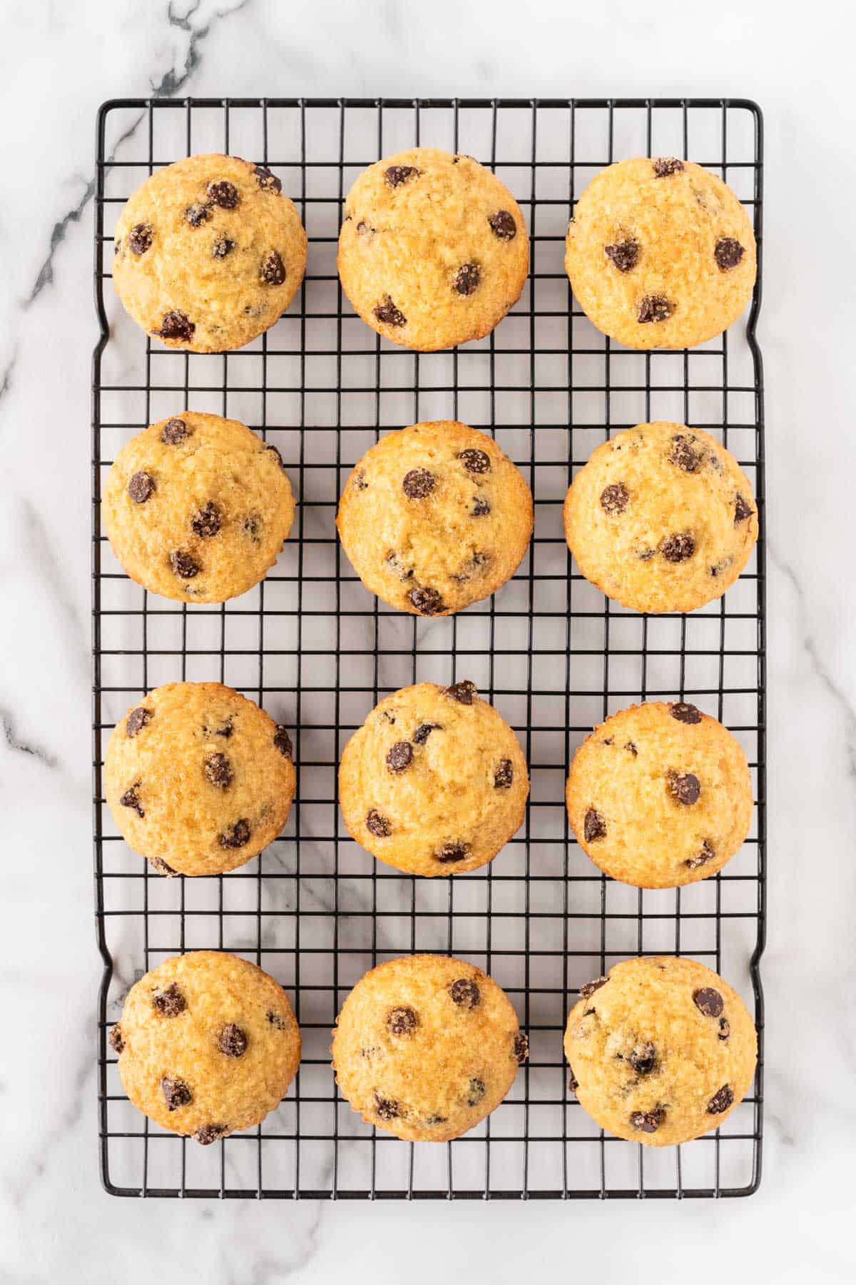 bakery style chocolate chip muffins on a cooling rack