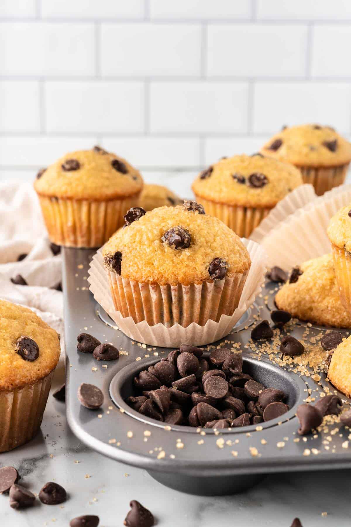 bakery style chocolate chip muffin