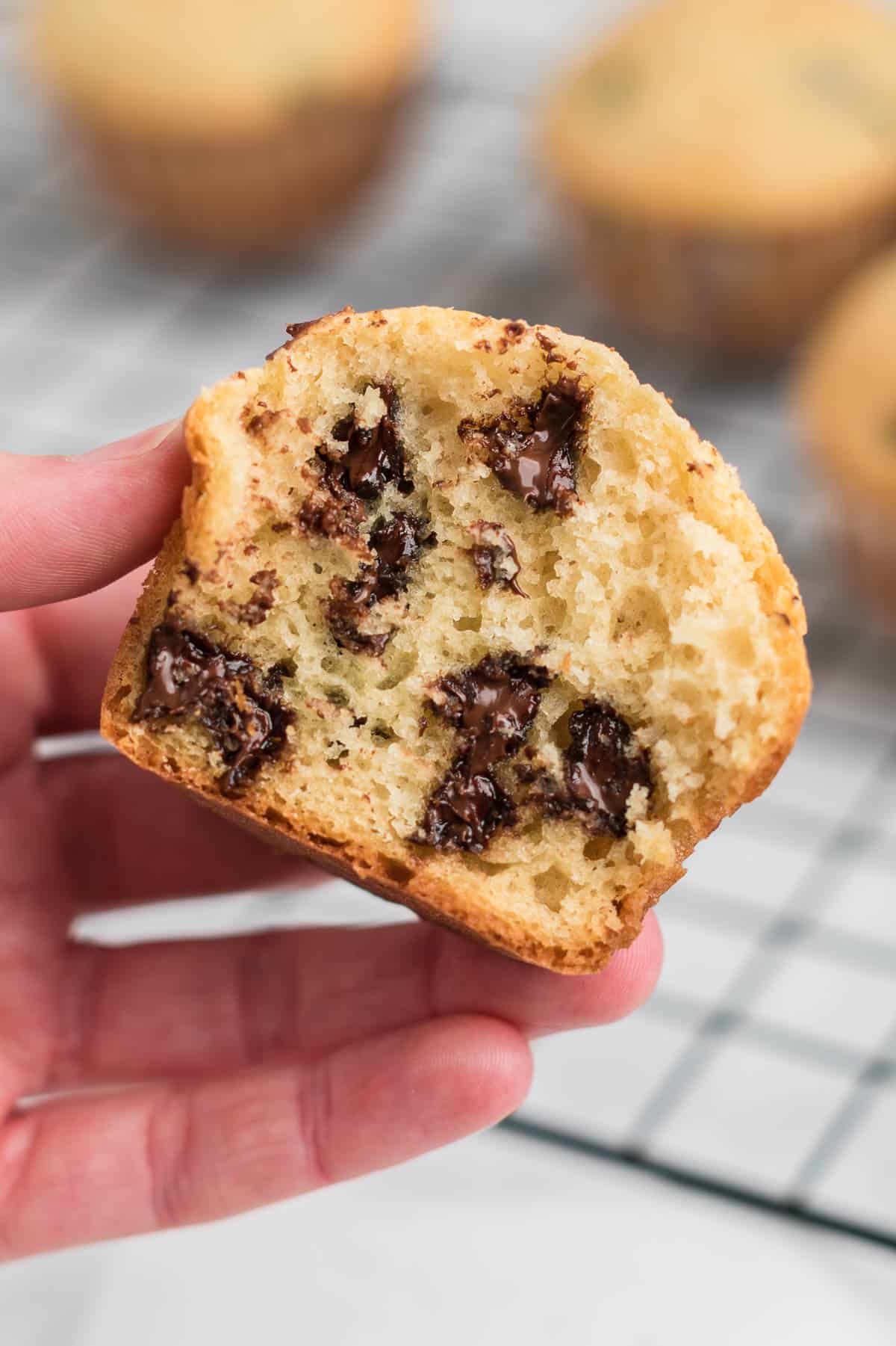 holding a chocolate chip muffin