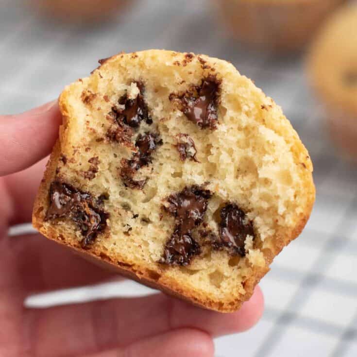 holding a chocolate chip muffin