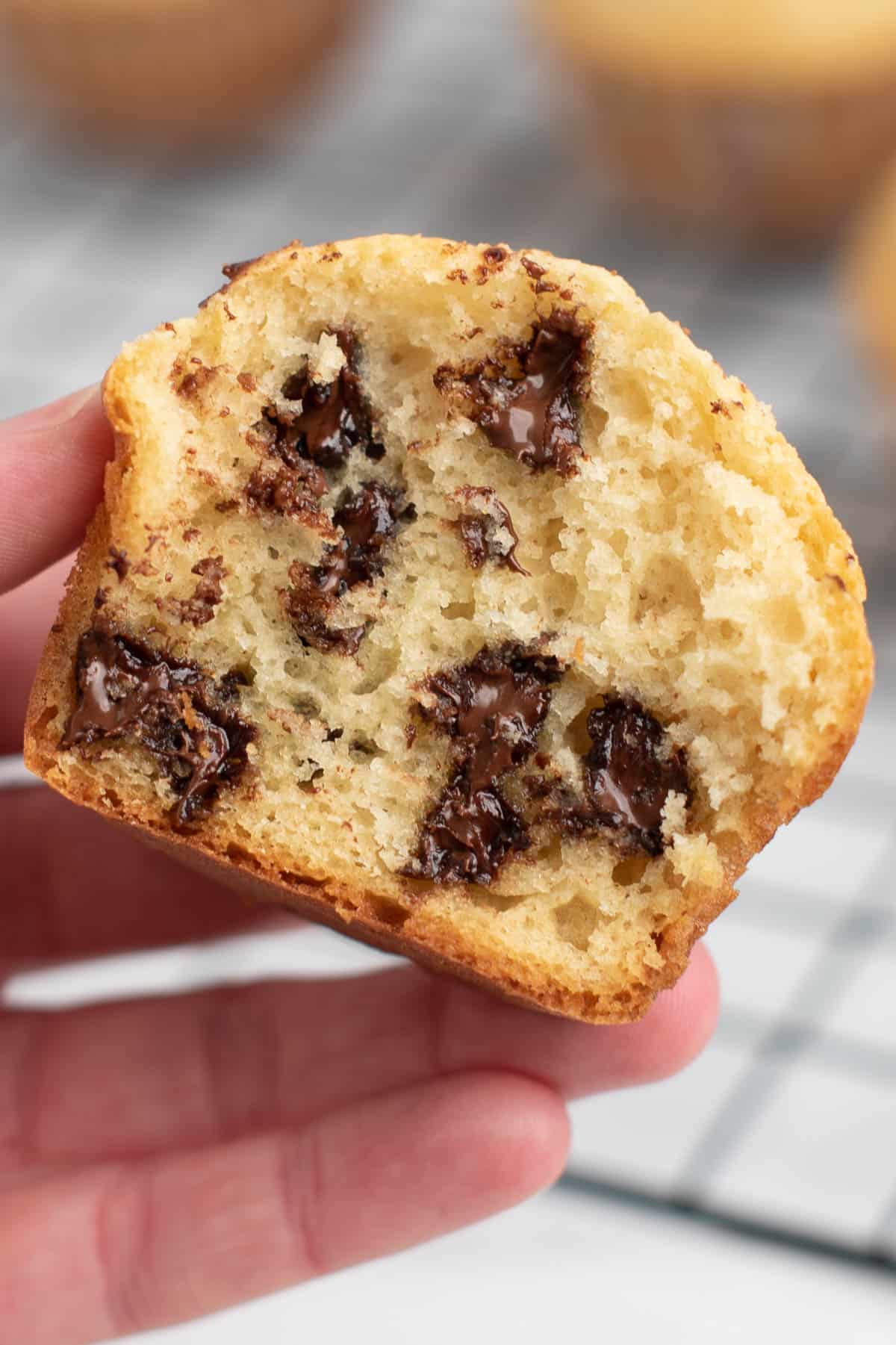 holding a chocolate chip muffin
