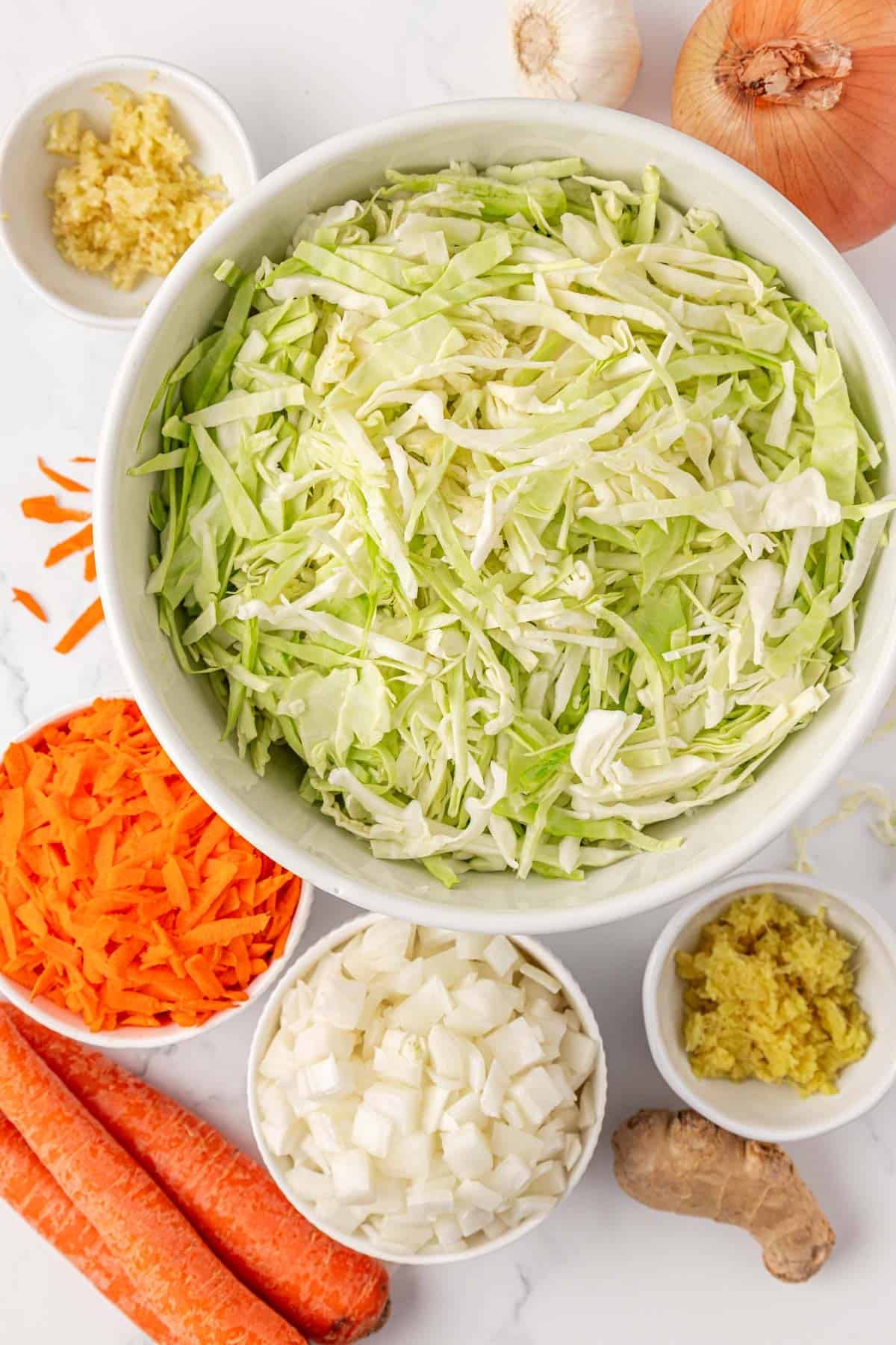 cabbage, garlic, ginger, carrots, and onions chopped up in bowls