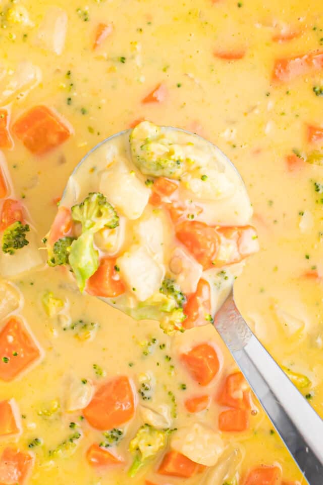 Creamy Vegetable Soup - Build Your Bite