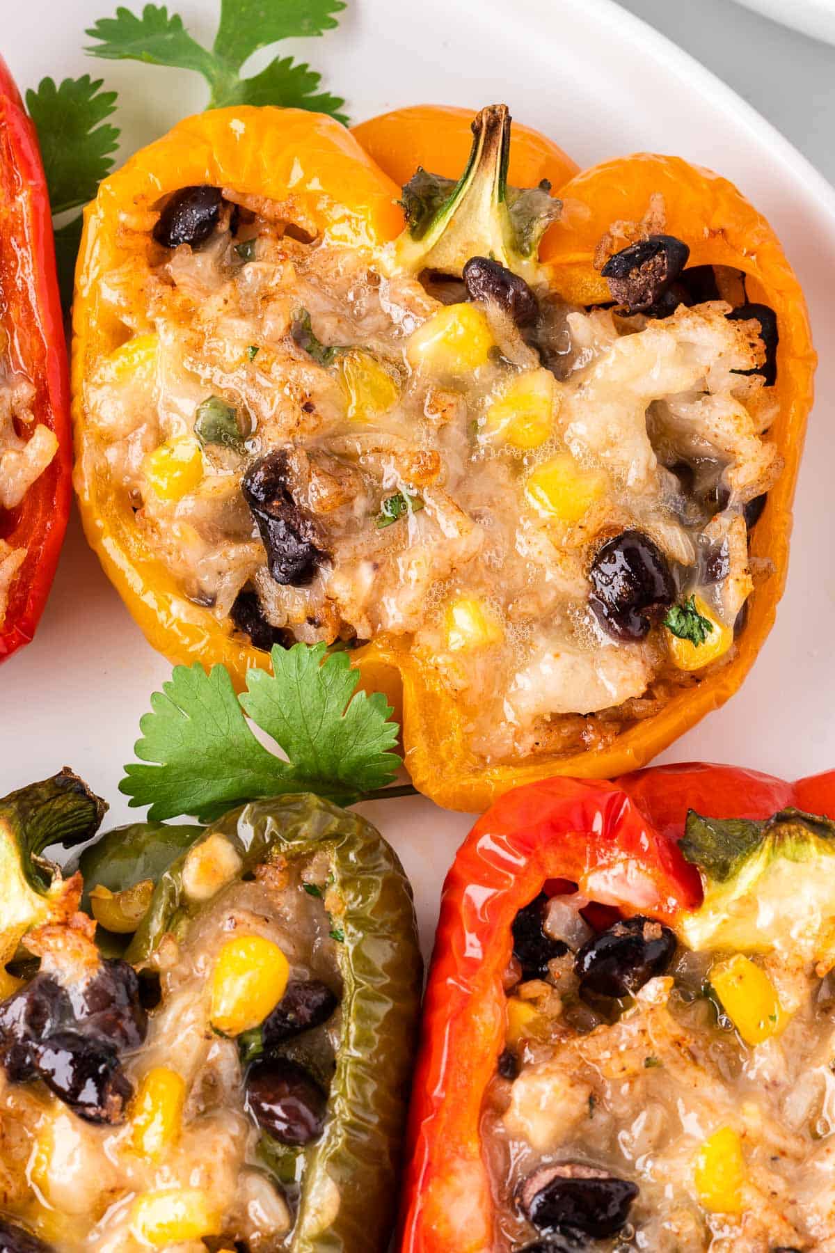 vegetarian stuffed peppers on a plate