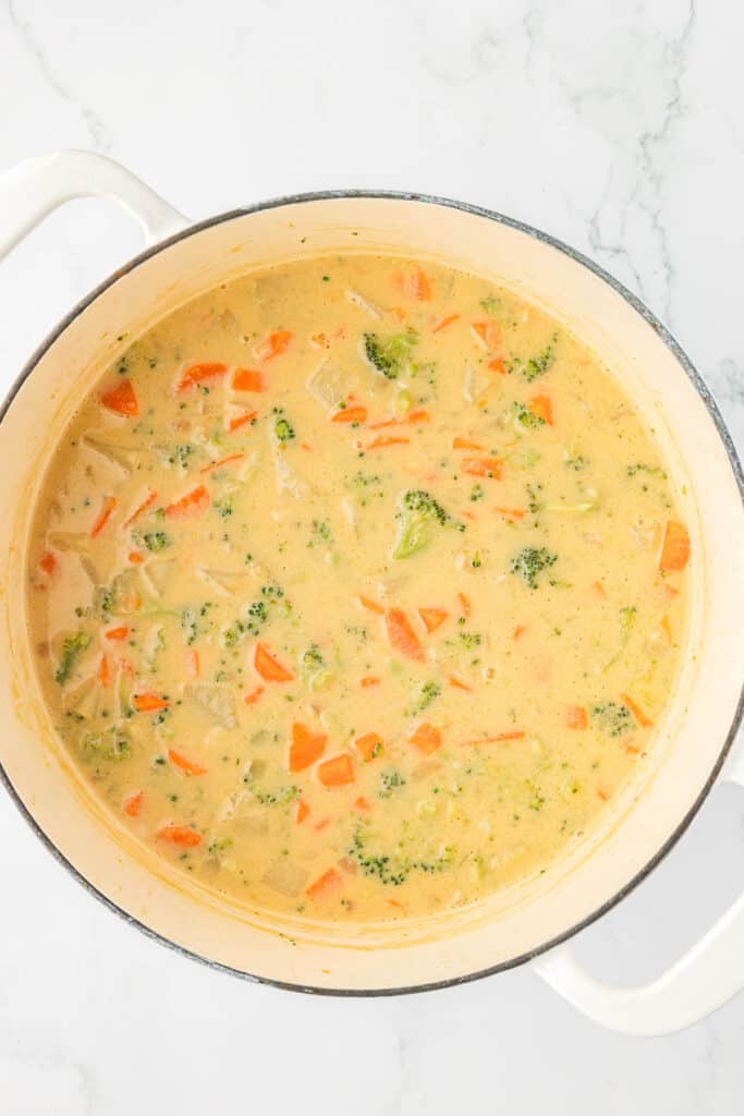 creamy vegetable soup in a dutch oven