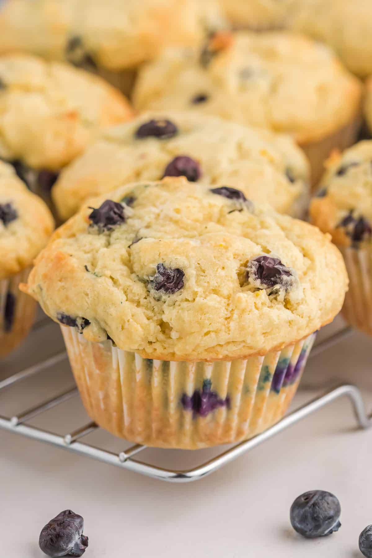 sour cream blueberry muffin on a wire cooling rack