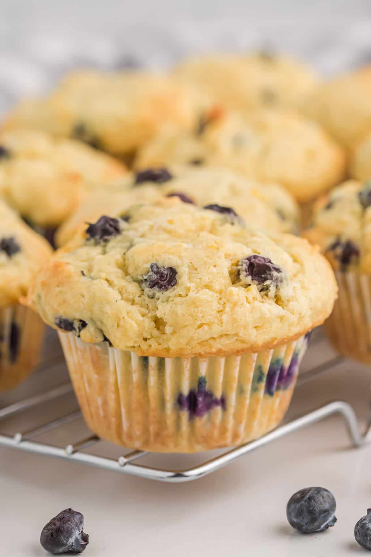 sour cream blueberry muffin on a wire cooling rack