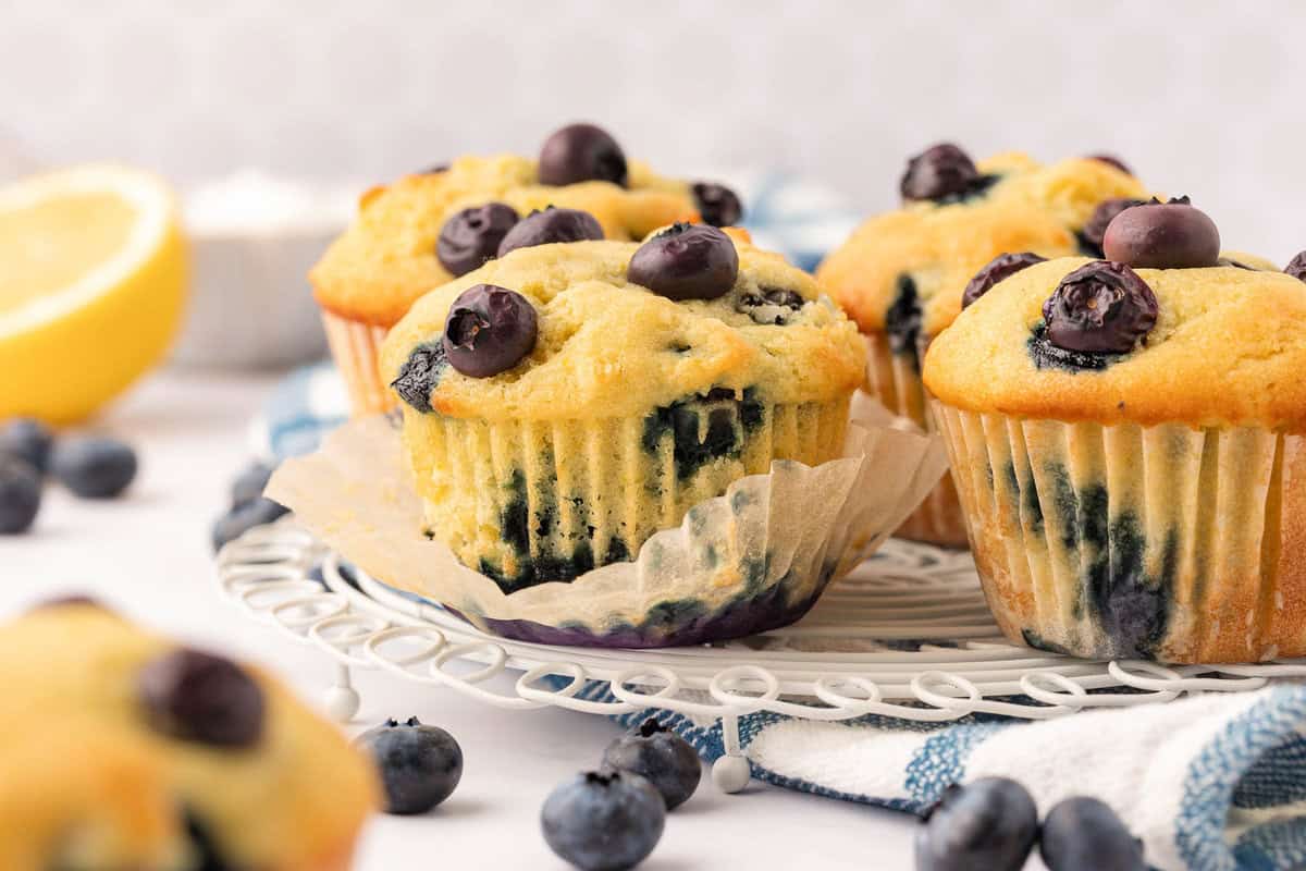 blueberry muffins on a decorative plate