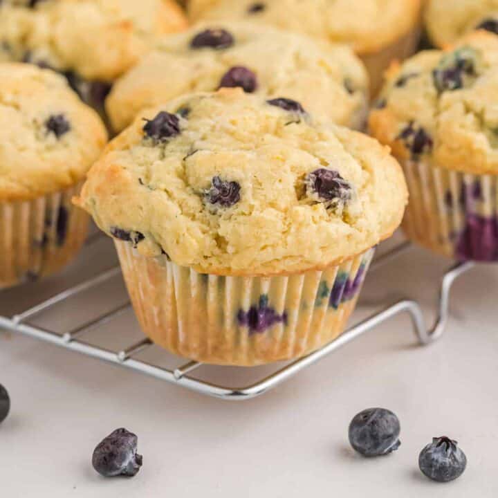 blueberry muffins on a wire cooling rack