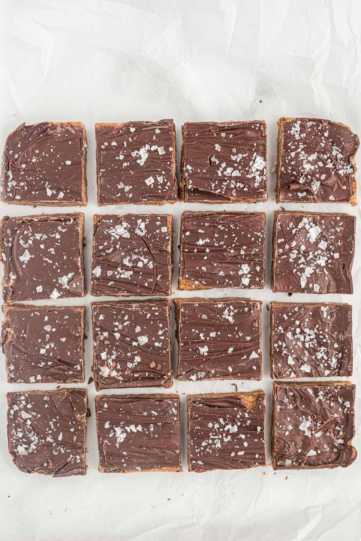 chocolate protein bars cut into 16 pieces