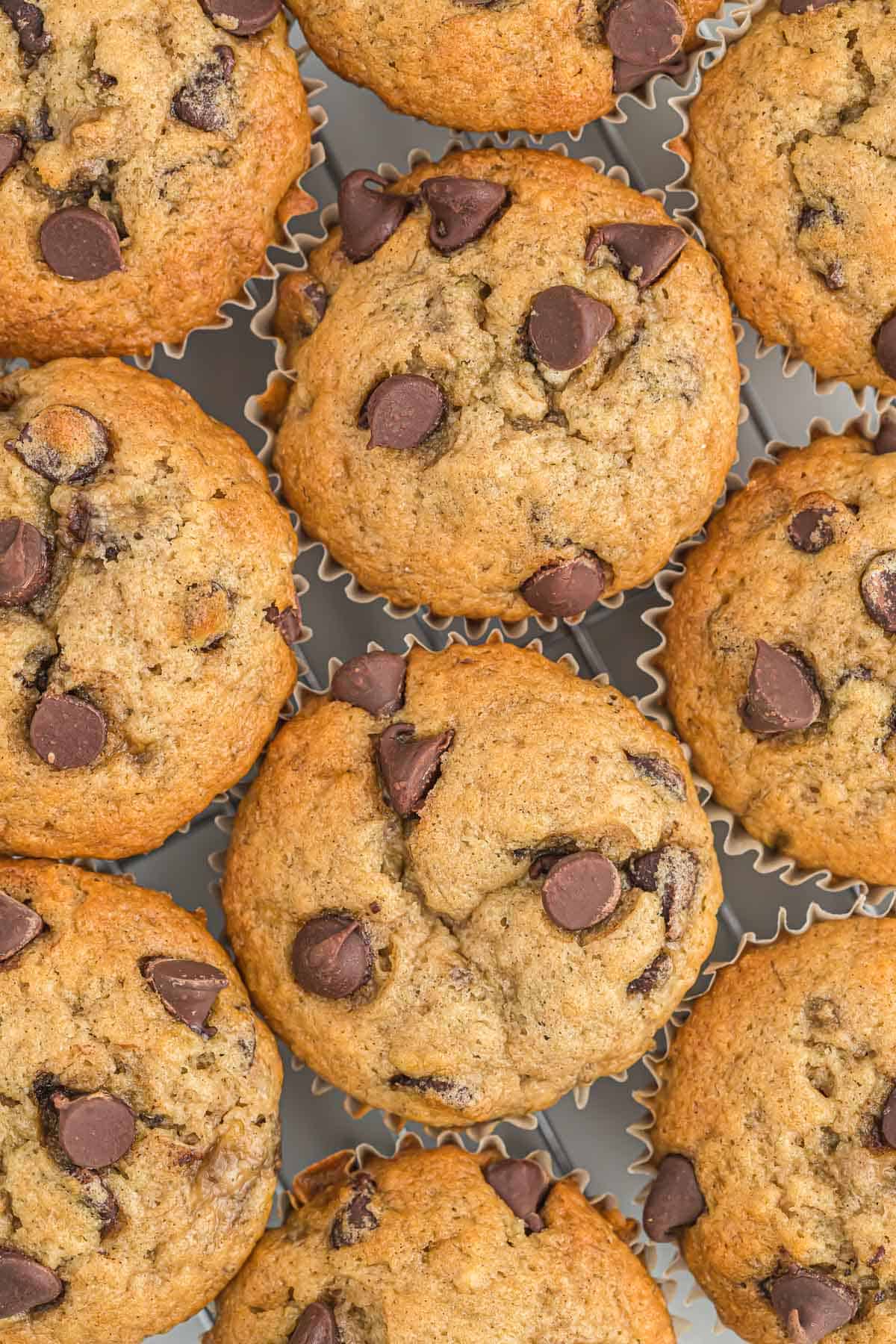 chocolate chip banana bread muffins