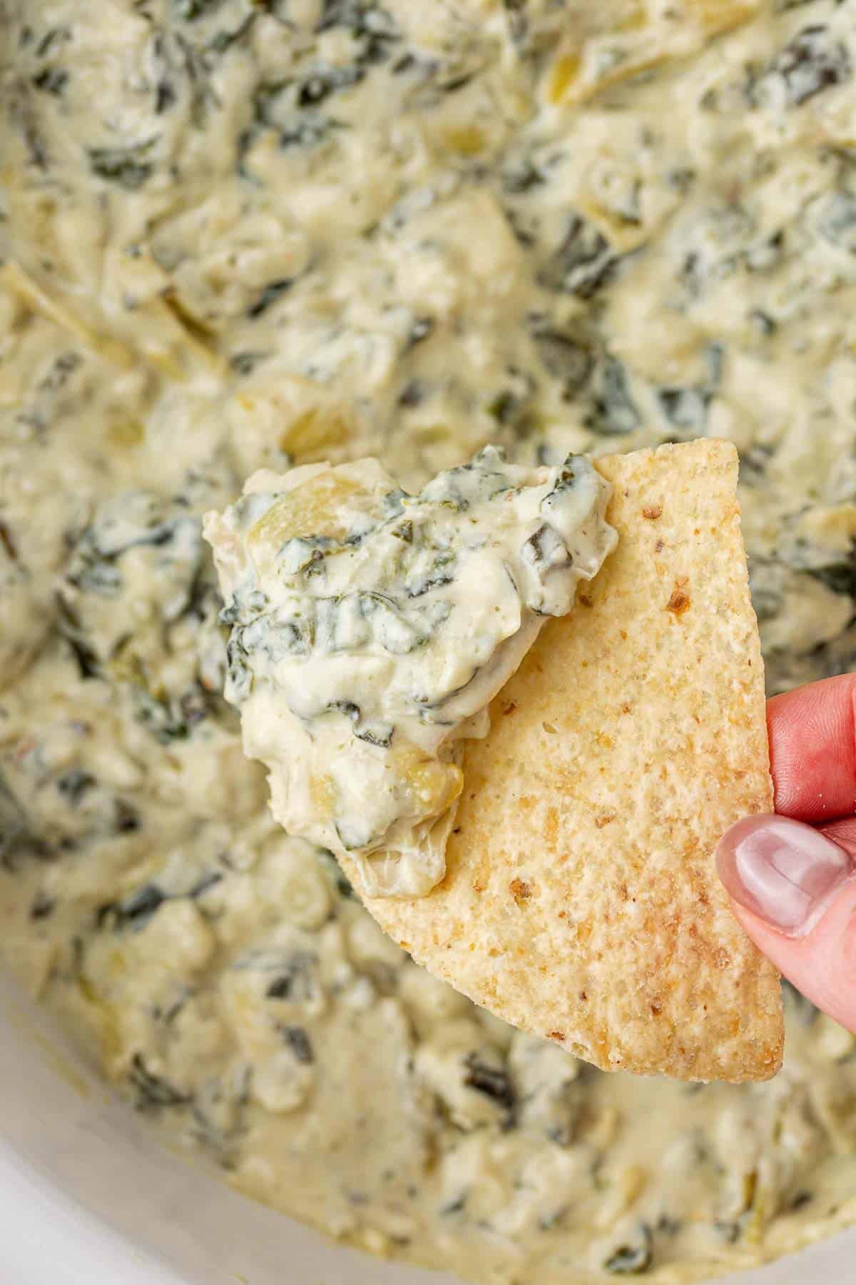 dipping a tortilla chip into spinach artichoke dip