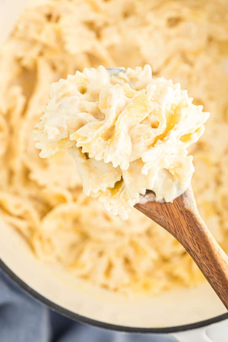Parmesan Cream Sauce for Pasta Build Your Bite
